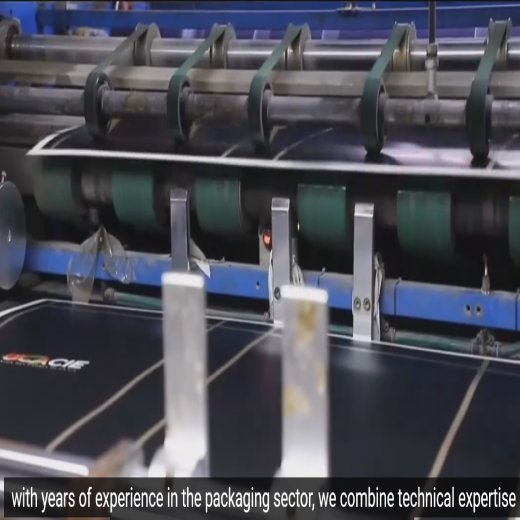 Hochgeschwindigkeits-Verpackungsfabrik